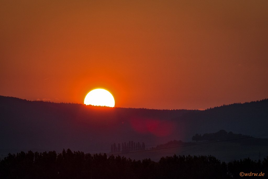 Sonnenuntergang im Rheingau